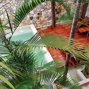 Hotel Casa Bamboo
